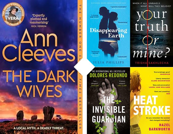 The Dark Wives by Ann Cleeves