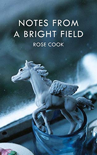 Notes From a Bright Field by Rose Cook
