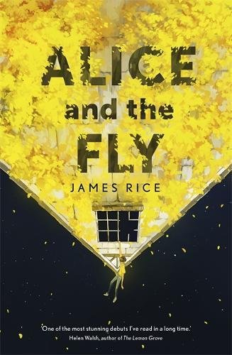 Alice and the Fly by James Rice