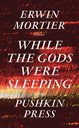 While the Gods Were Sleeping by Erwin Mortier