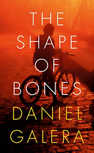 The Shape of Bones by Daniel Galera