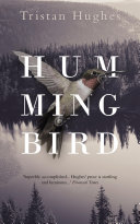 Hummingbird by Tristan Hughes