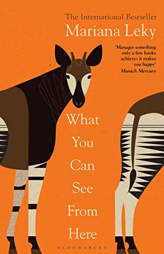 What You Can See From Here by  Mariana Leky