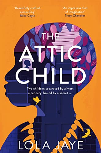 The Attic Child by  Lola Jaye